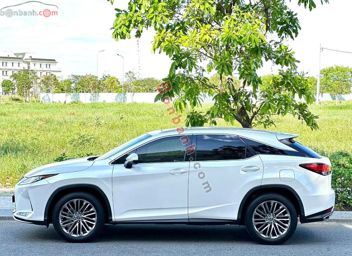 2020 Lexus RX 300