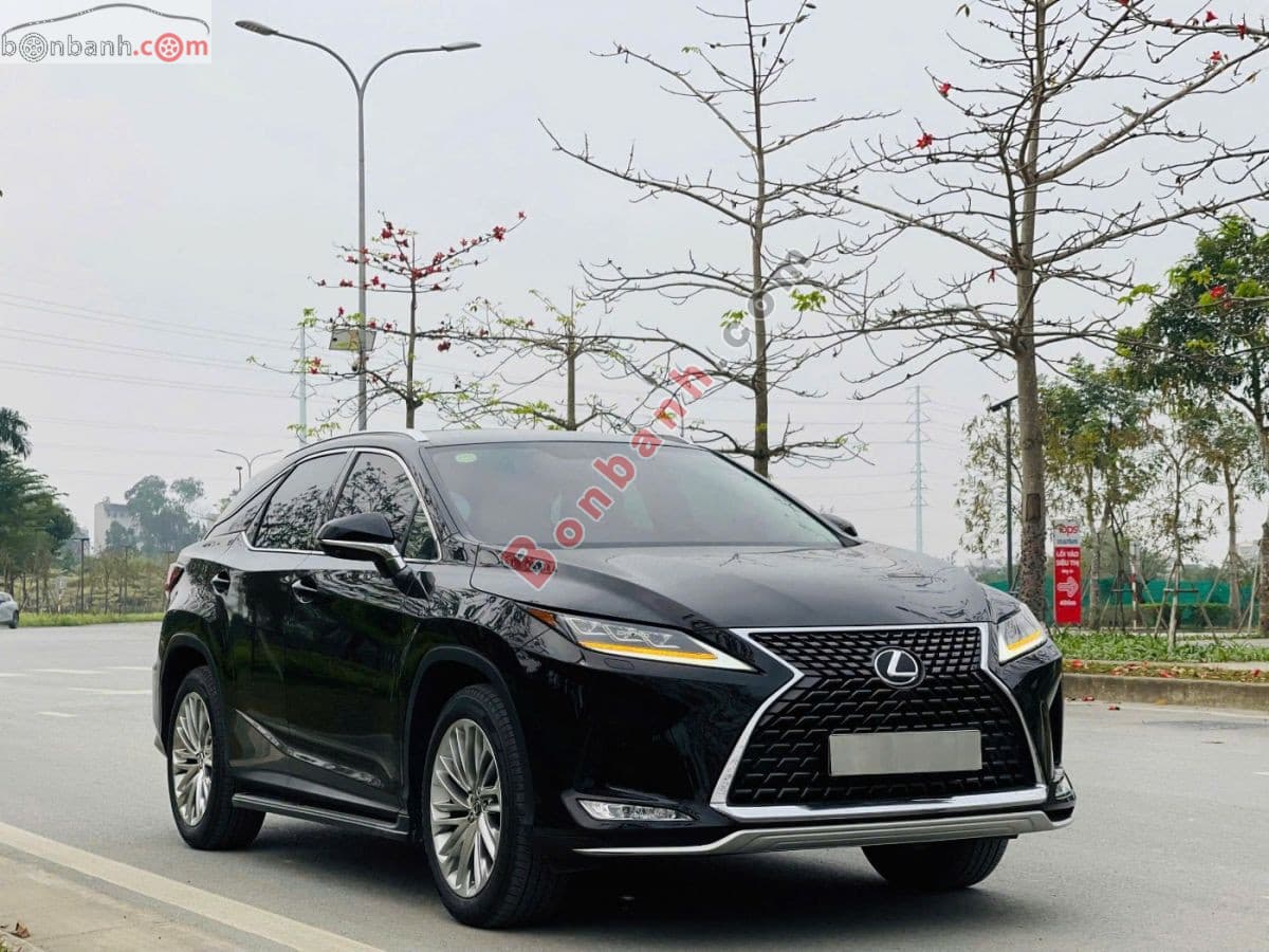 2021 Lexus RX 300