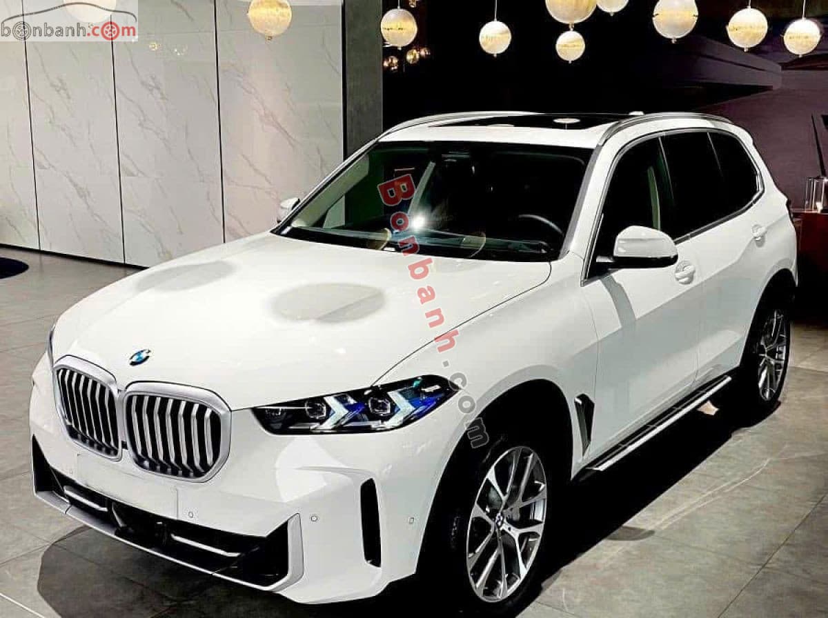 2024 BMW X5 xDrive40i xLine - Image 1