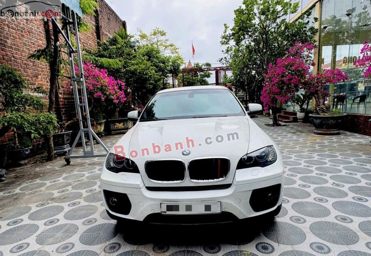 2010 BMW X6 xDrive35i