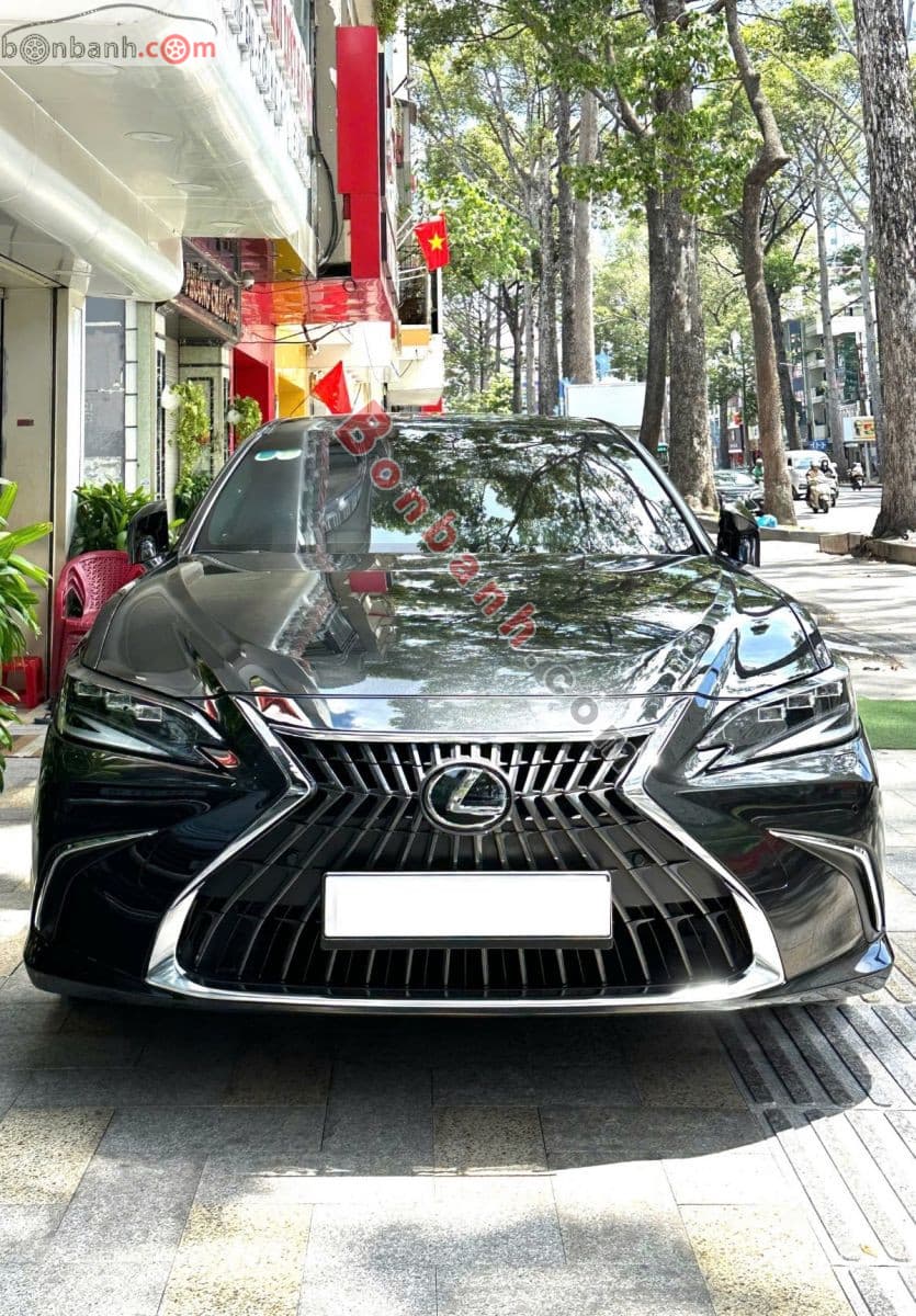 2023 Lexus ES 250