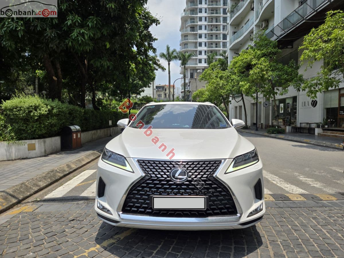 2020 Lexus RX 300