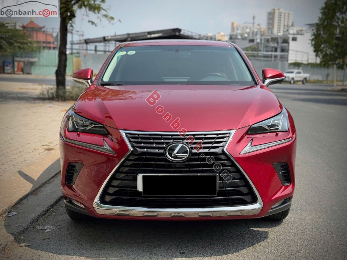 2019 Lexus NX 300