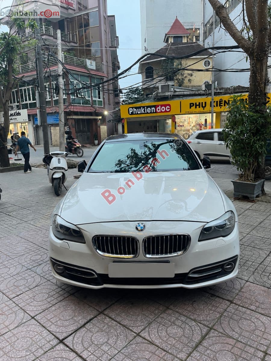 2012 BMW 5 Series 520i