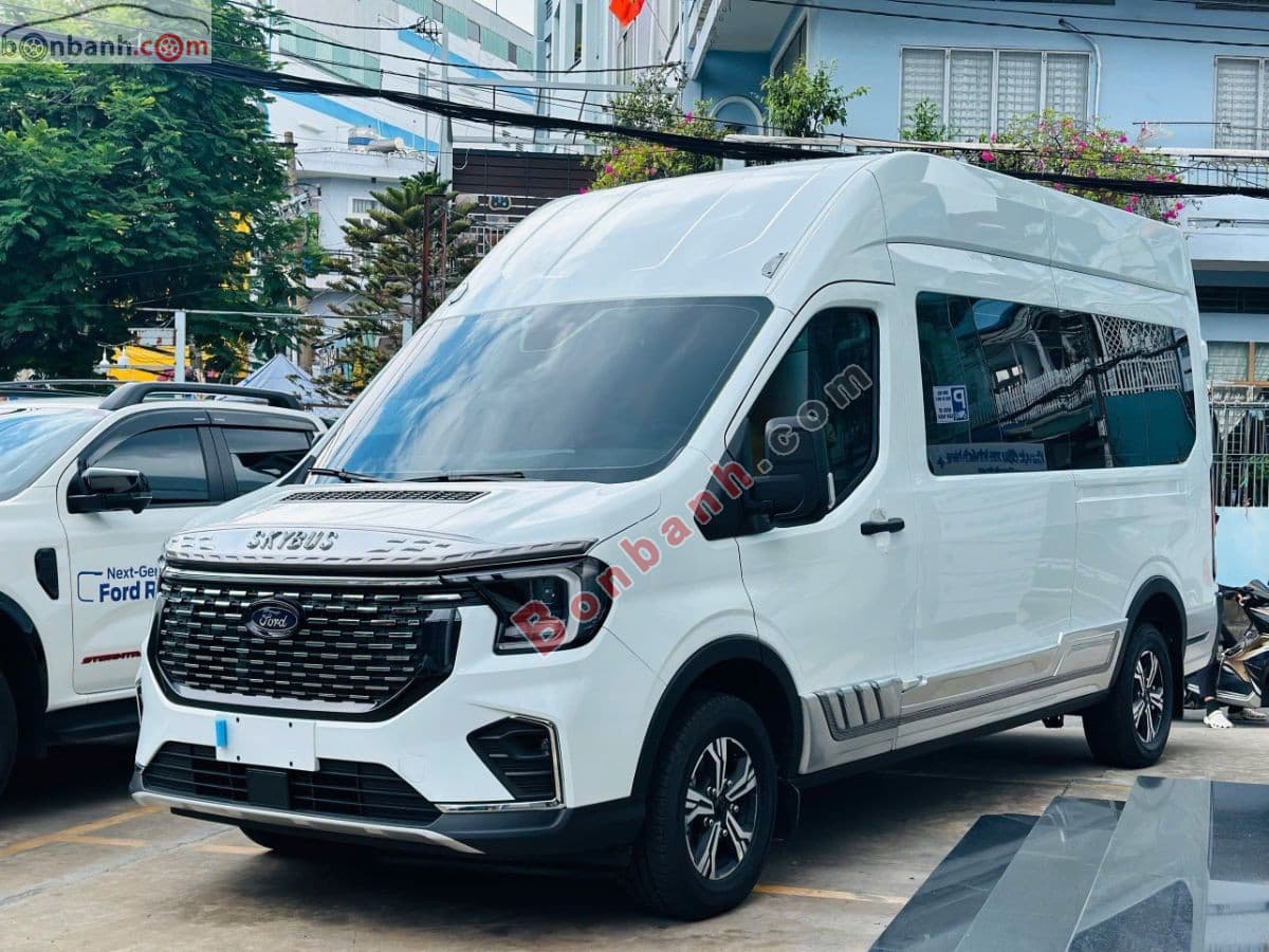 2025 Ford Transit Limousine 10S