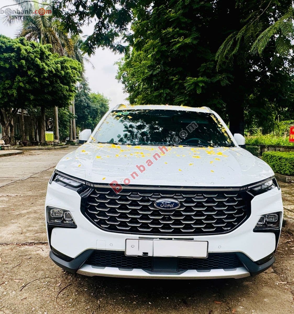 2025 Ford Territory Titanium X 1.5 AT