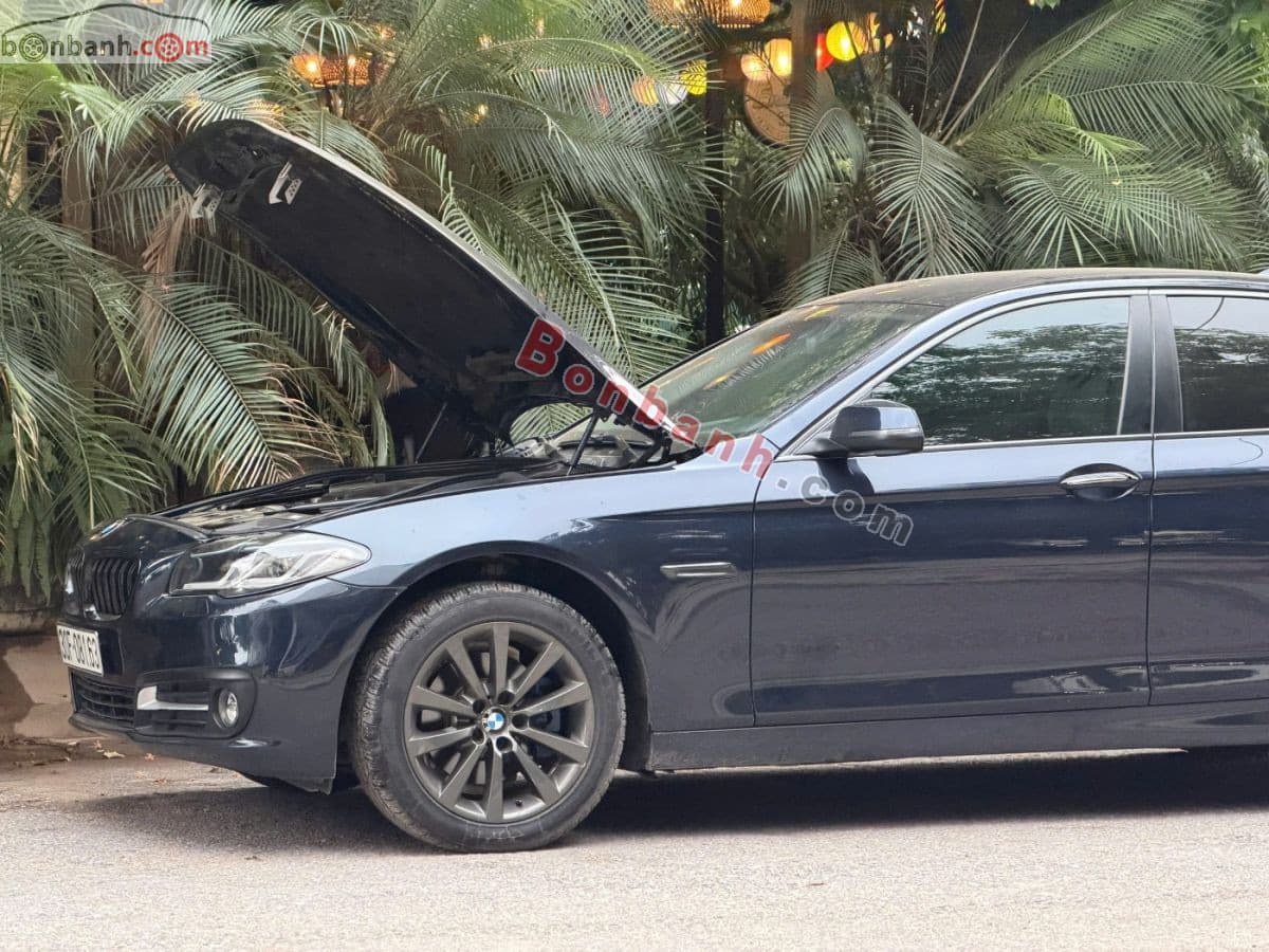 2016 BMW 5 Series 520i