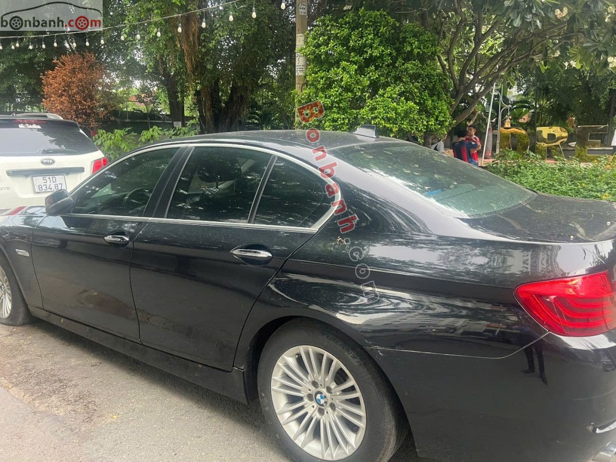2015 BMW 5 Series 520i