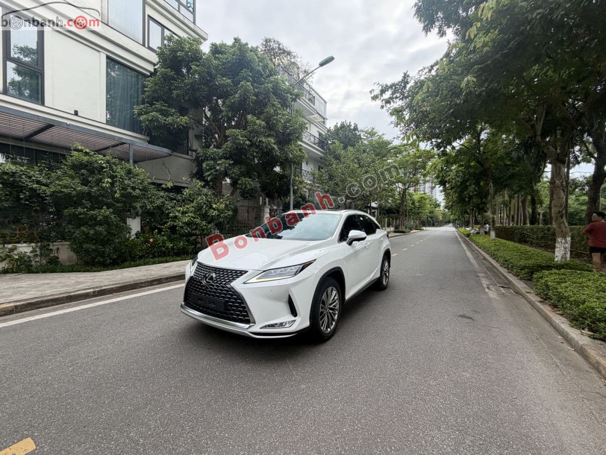 2021 Lexus RX 300