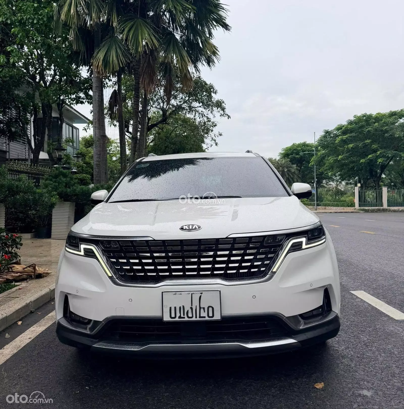 2021 Kia Carnival 2.2D Signature