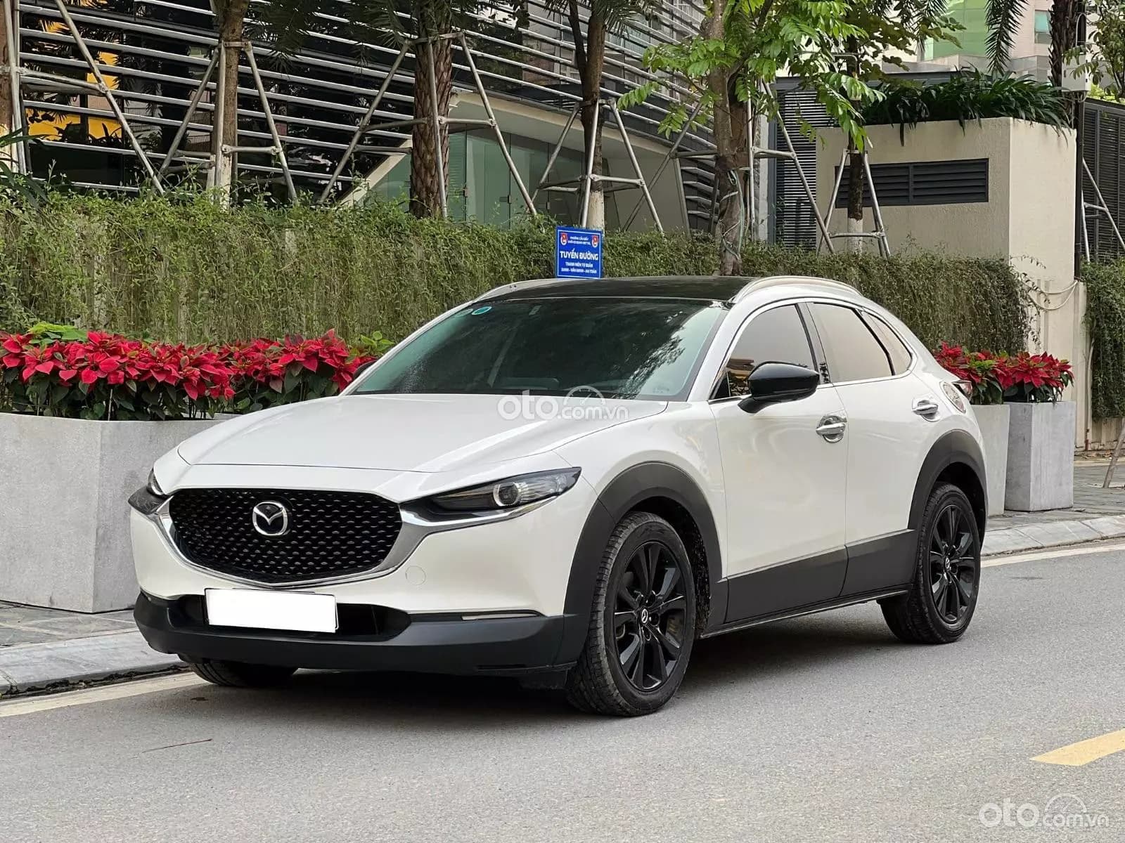 2021 Mazda CX-30 2.0L Luxury - ảnh nhỏ 2
