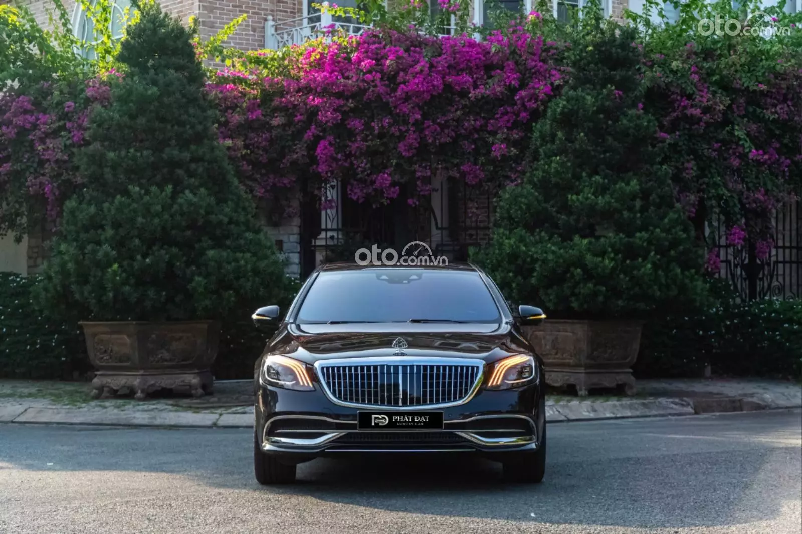 2020 Mercedes-Benz S450 Limited Edition - Image 1