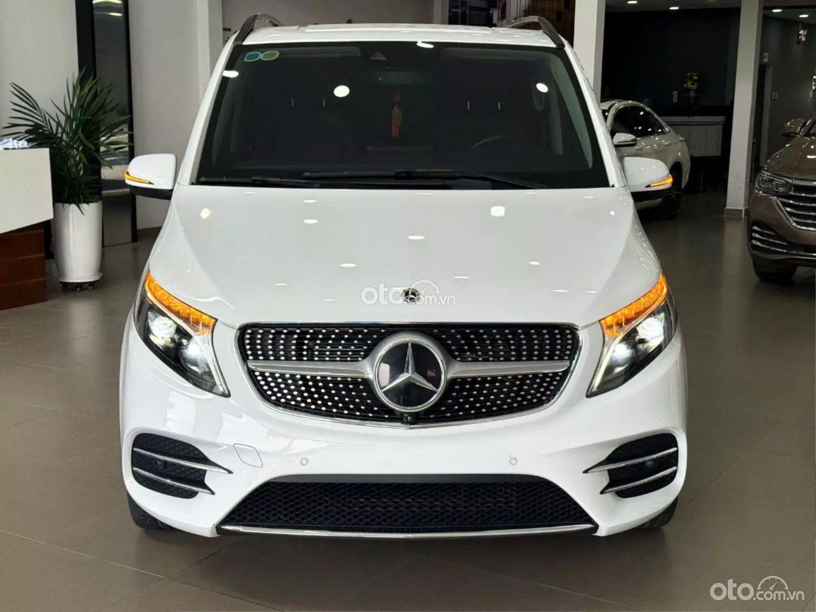 2023 Mercedes-Benz V250 AMG