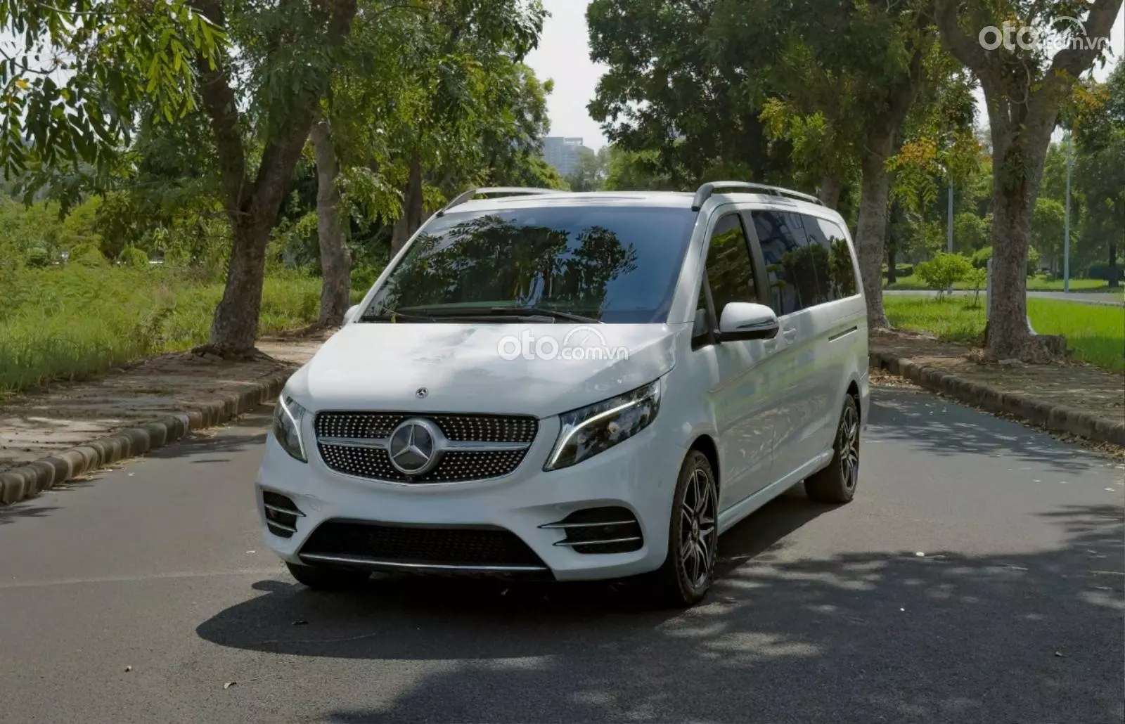 2023 Mercedes-Benz V250 AMG