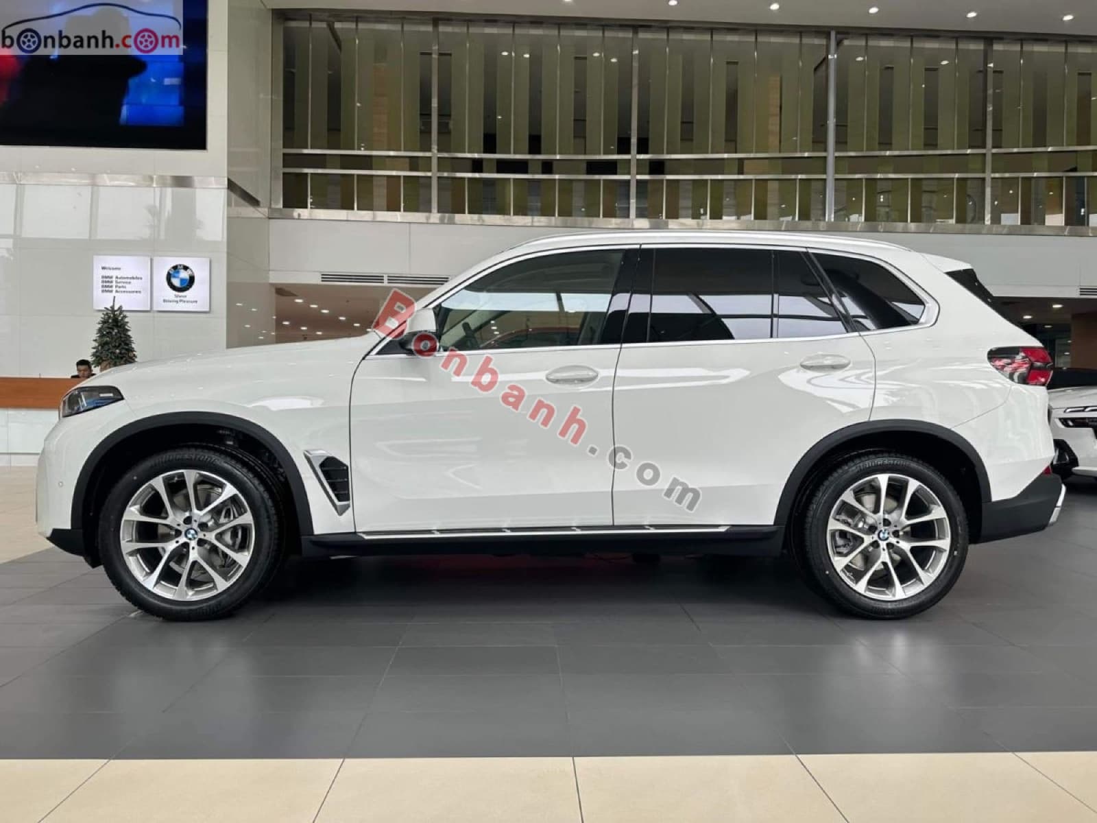 2025 BMW X5 xDrive40i xLine - ảnh nhỏ 2