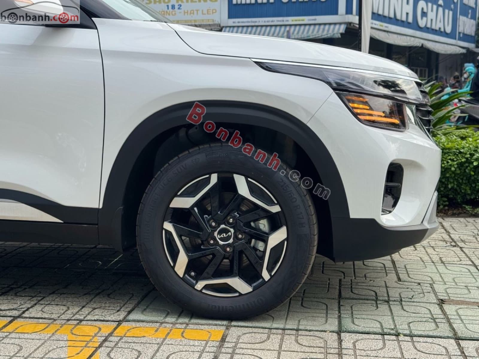 2026 Kia Seltos Luxury 1.5 AT - ảnh nhỏ 7