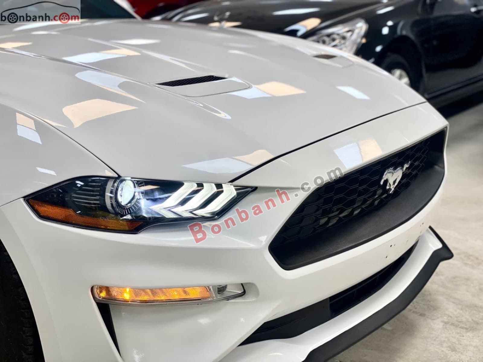 2018 Ford Mustang EcoBoost Fastback - ảnh nhỏ 3