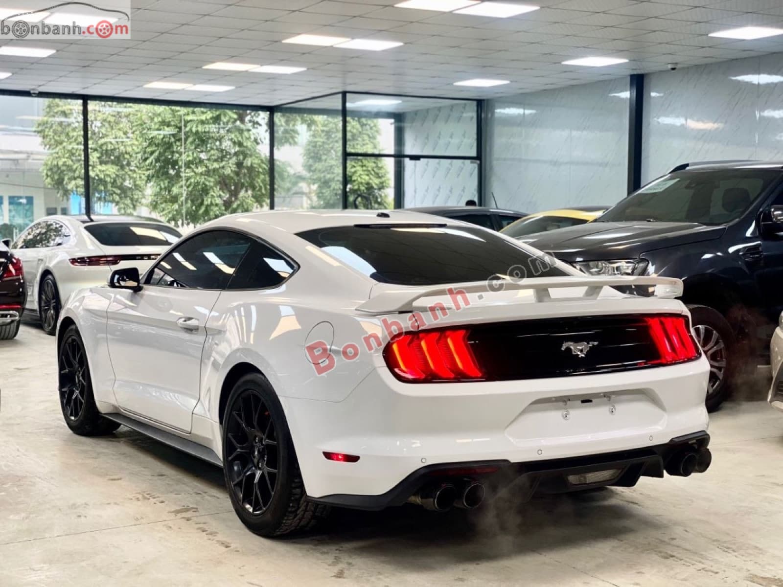 2018 Ford Mustang EcoBoost Fastback - ảnh nhỏ 4