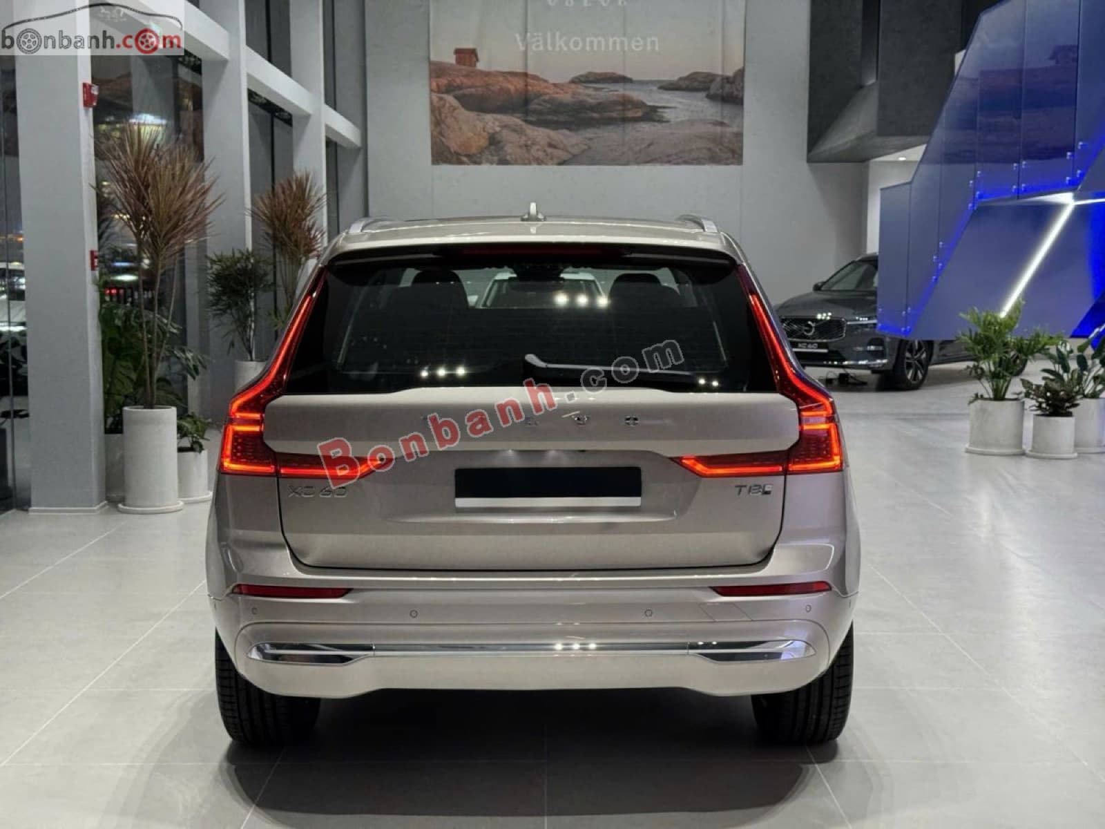 2025 Volvo XC60 Ultra B5 AWD - ảnh nhỏ 2