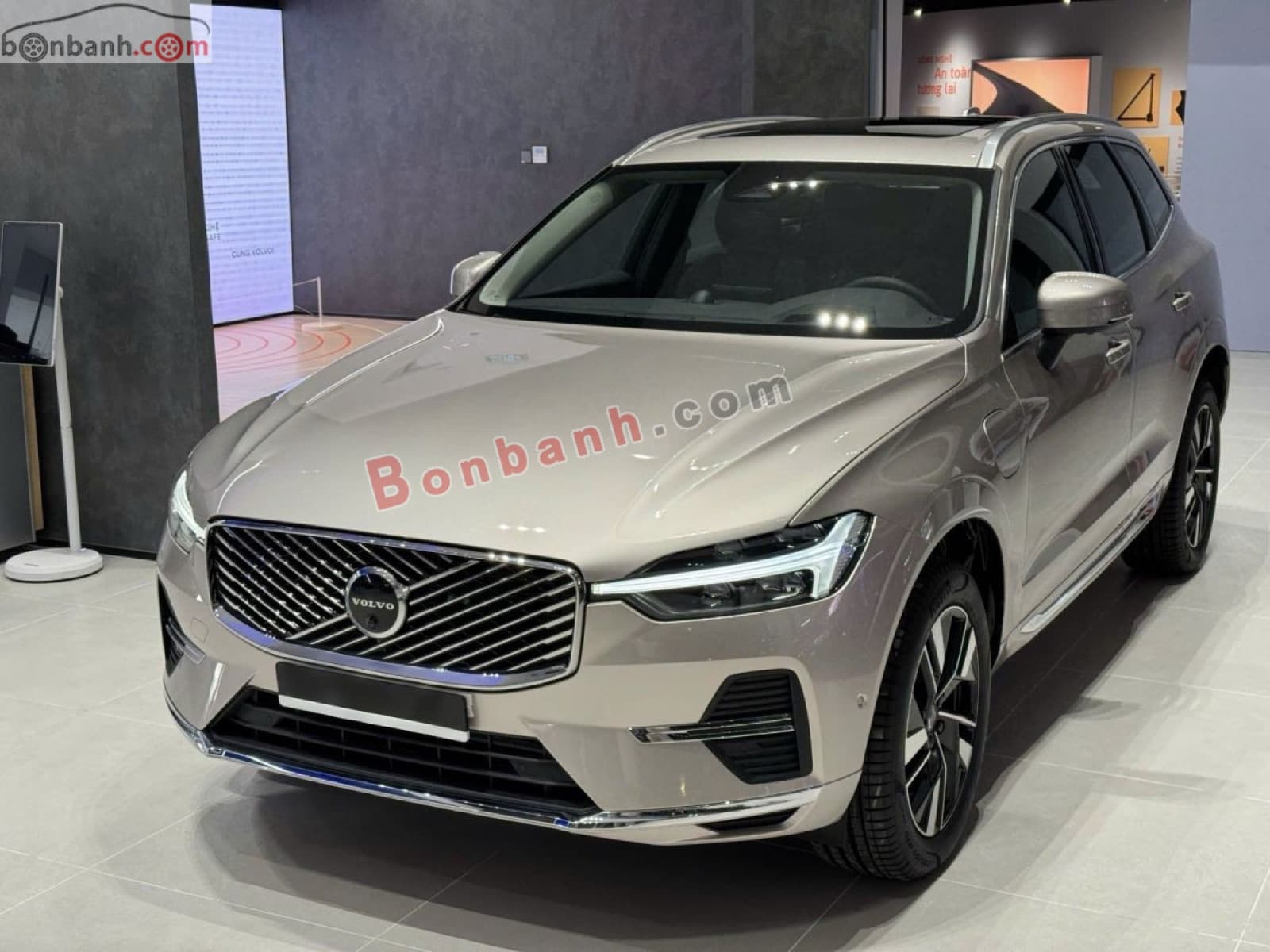 2025 Volvo XC60 Ultra B5 AWD - ảnh nhỏ 3