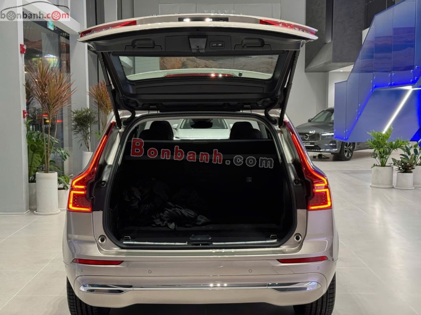 2025 Volvo XC60 Ultra B5 AWD - ảnh nhỏ 5