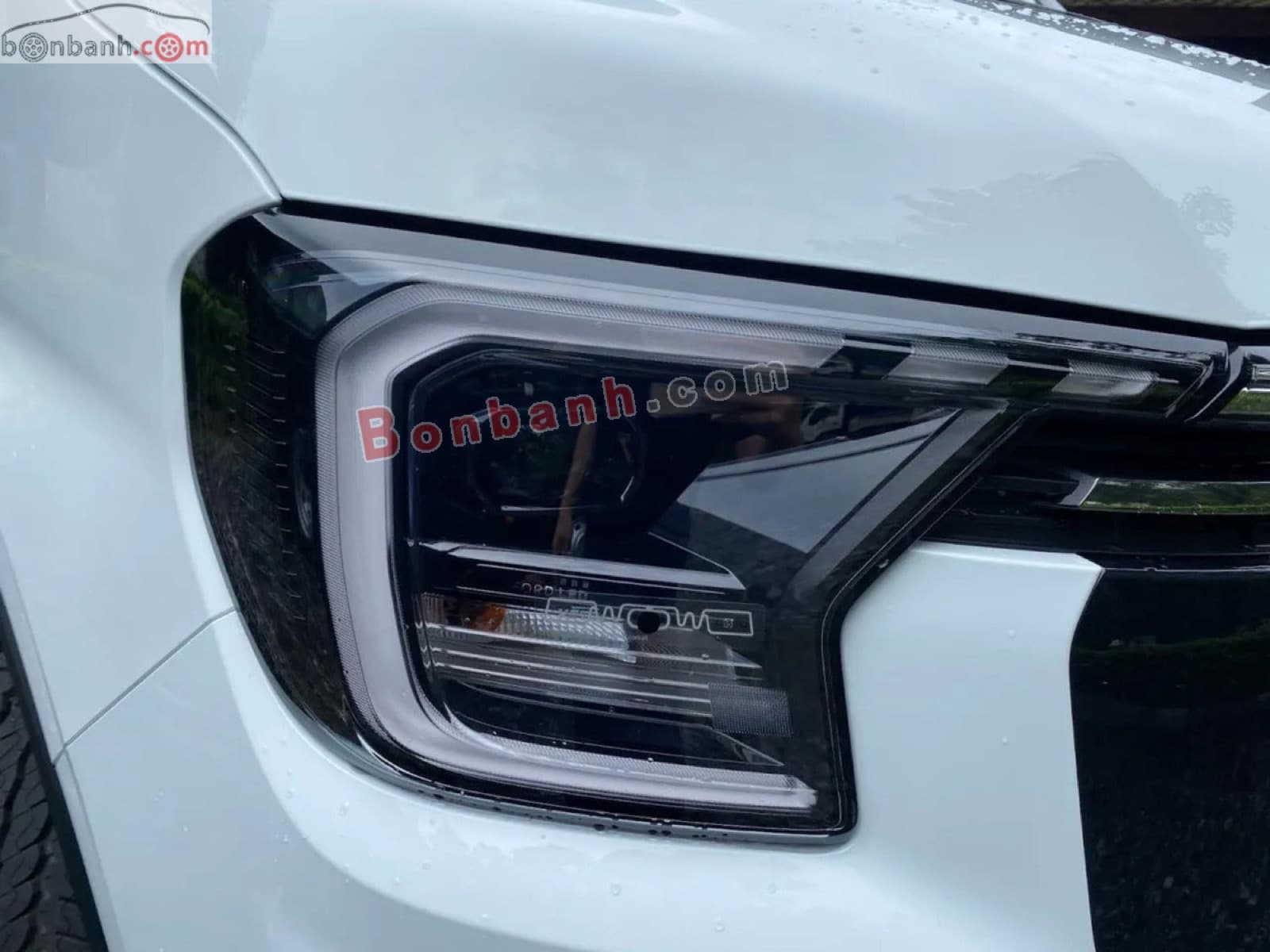2026 Ford Transit Premium - ảnh nhỏ 4