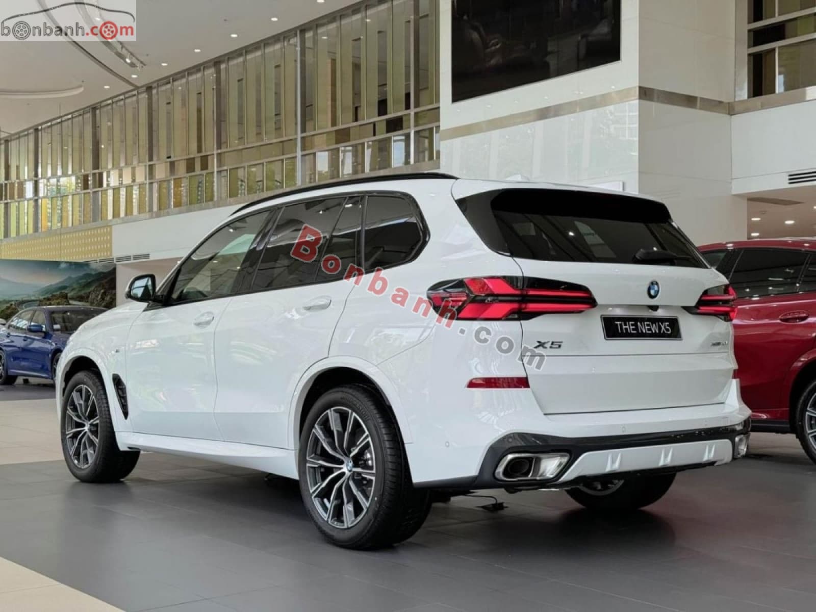 2025 BMW X5 xDrive40i M Sport - ảnh nhỏ 4