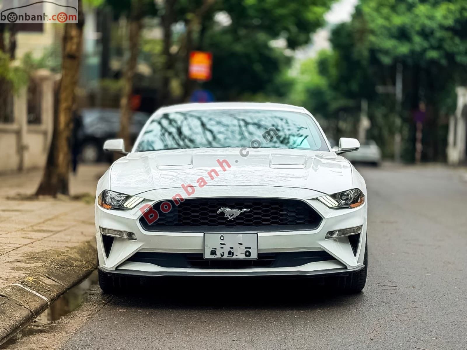 2018 Ford Mustang EcoBoost Fastback - ảnh nhỏ 2