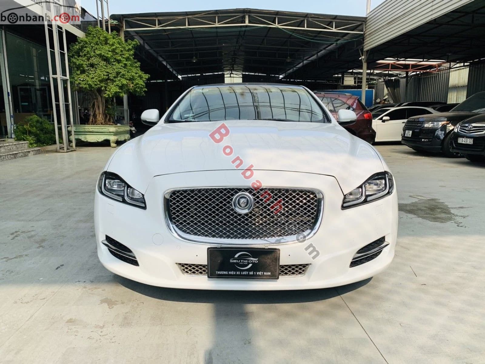2010 Jaguar XJ series XJL 3.0d - ảnh nhỏ 2
