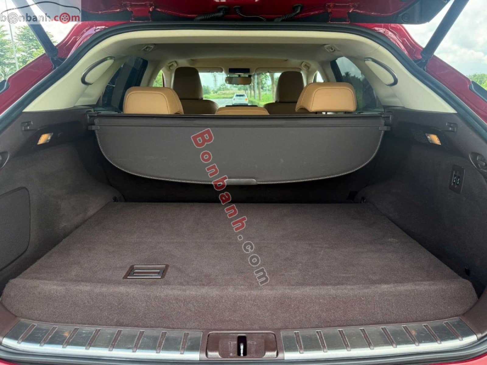 2019 Lexus RX 350 - ảnh nhỏ 10