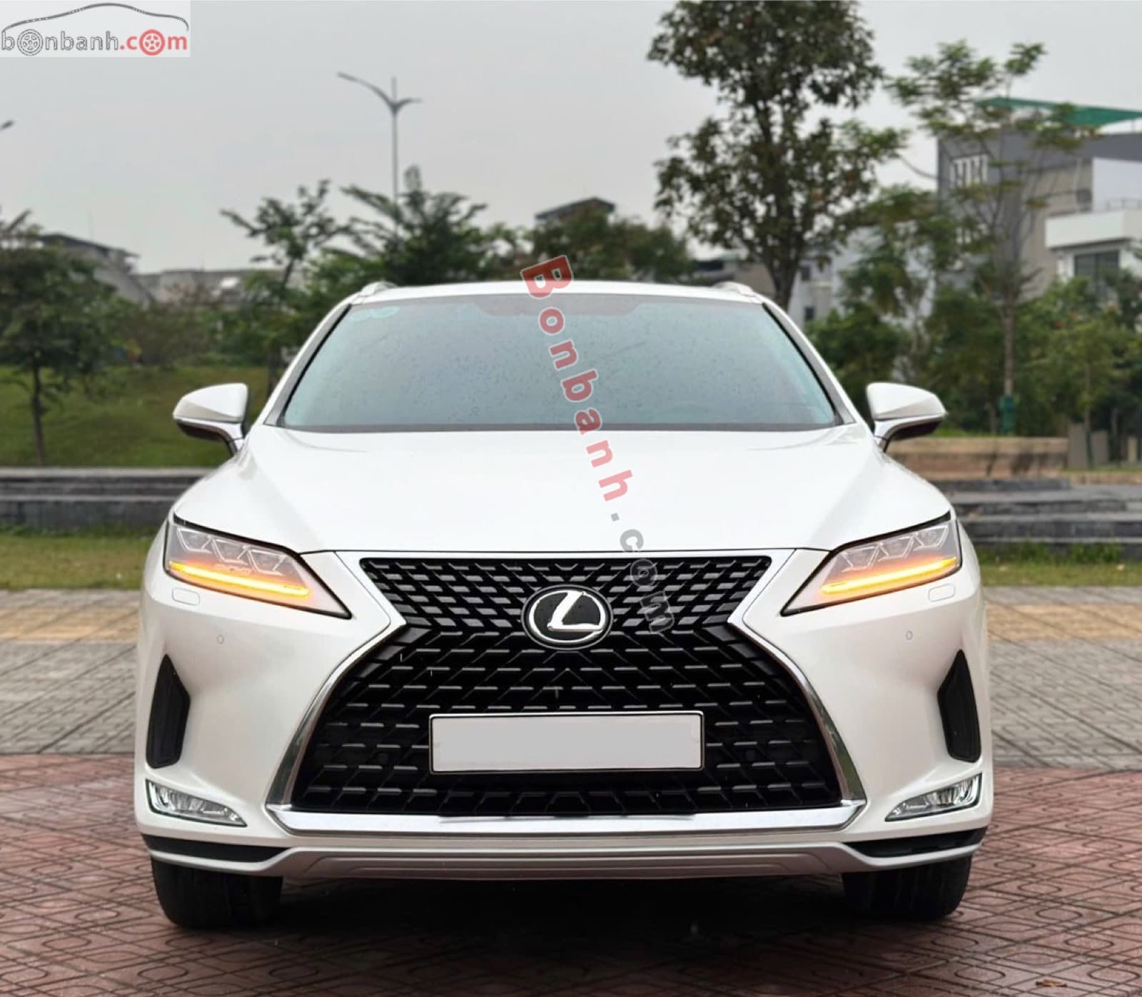 2022 Lexus RX 300