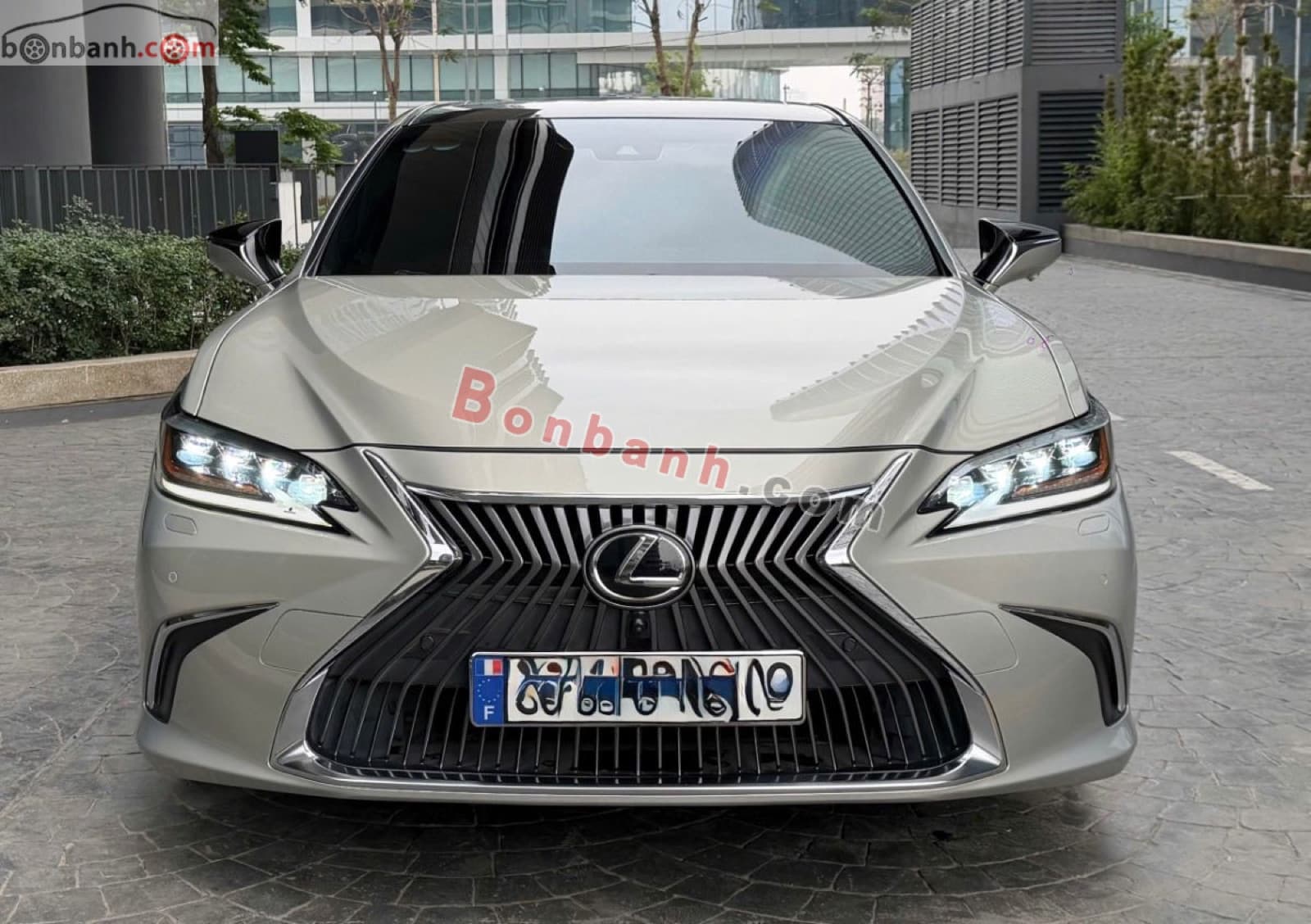 2019 Lexus ES 250 - ảnh nhỏ 2