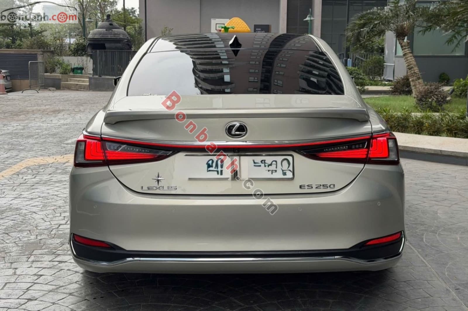 2019 Lexus ES 250 - ảnh nhỏ 3