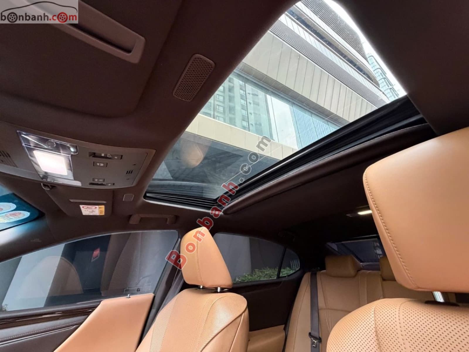 2019 Lexus ES 250 - ảnh nhỏ 6