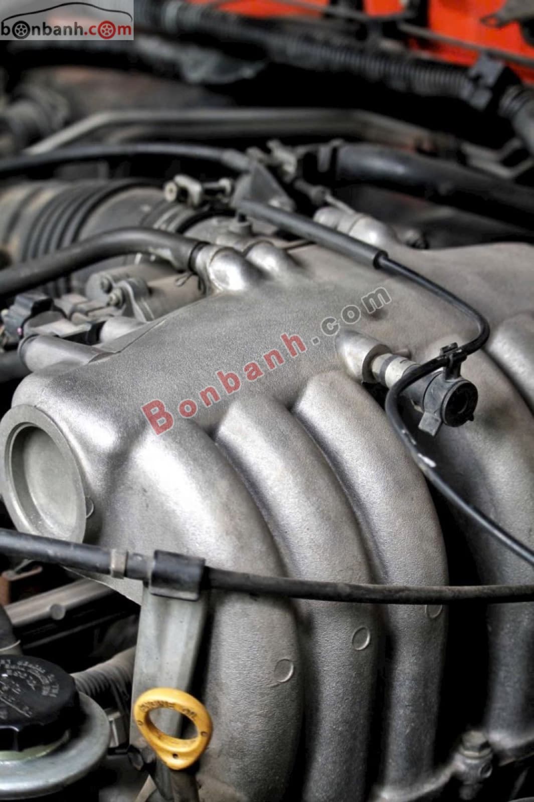 2004 Toyota Land Cruiser GX 4.5 - ảnh nhỏ 10