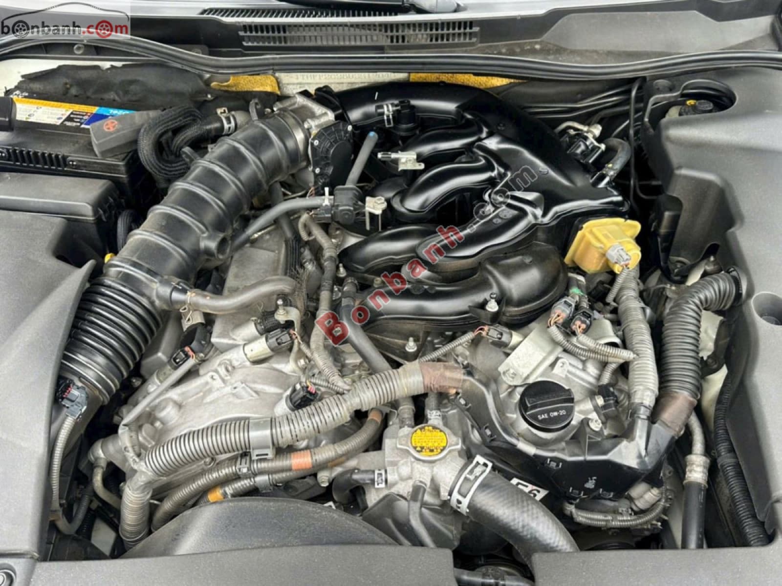 2011 Lexus IS 250C - ảnh nhỏ 10