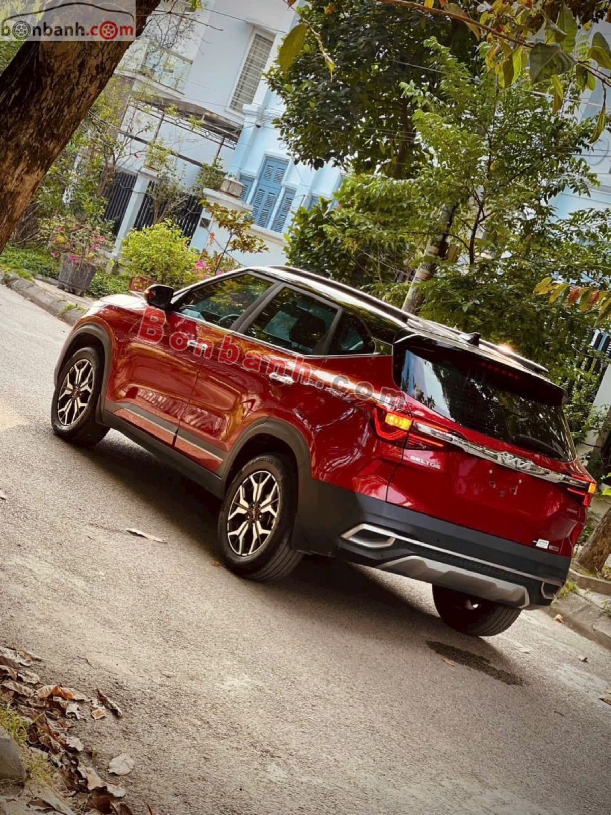 2022 Kia Seltos Luxury 1.4 AT - ảnh nhỏ 3