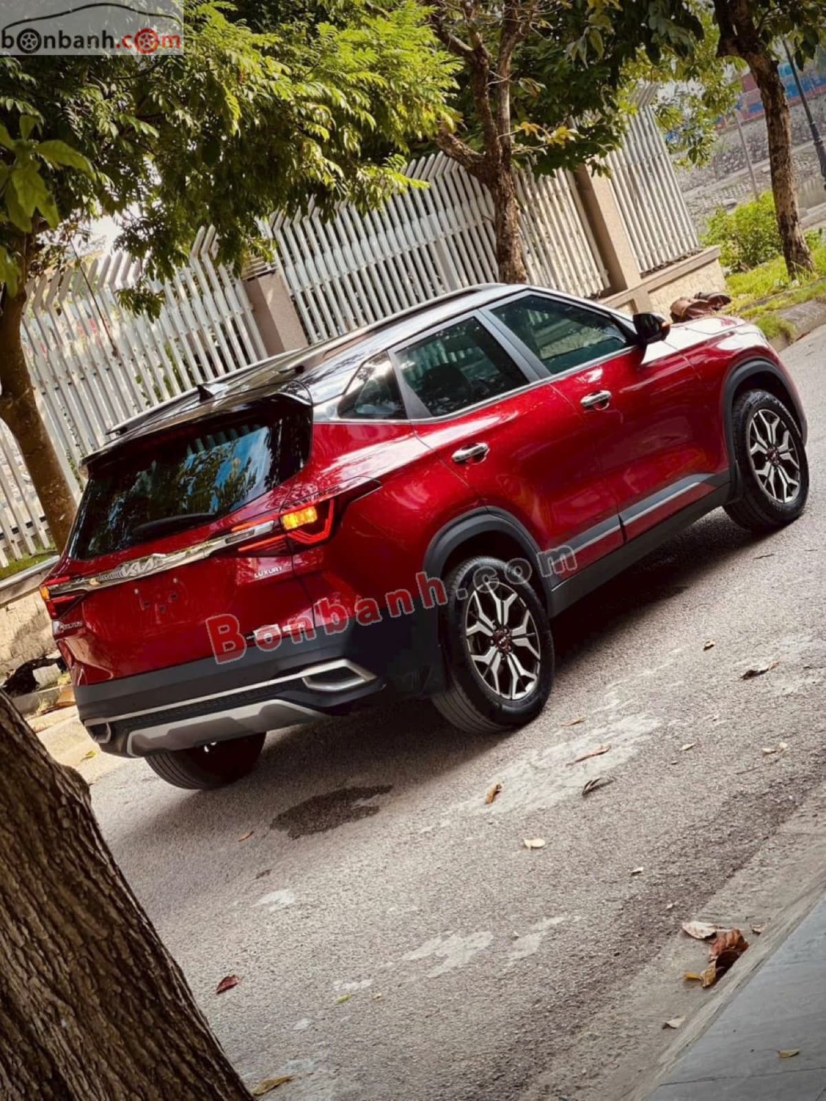 2022 Kia Seltos Luxury 1.4 AT - ảnh nhỏ 6