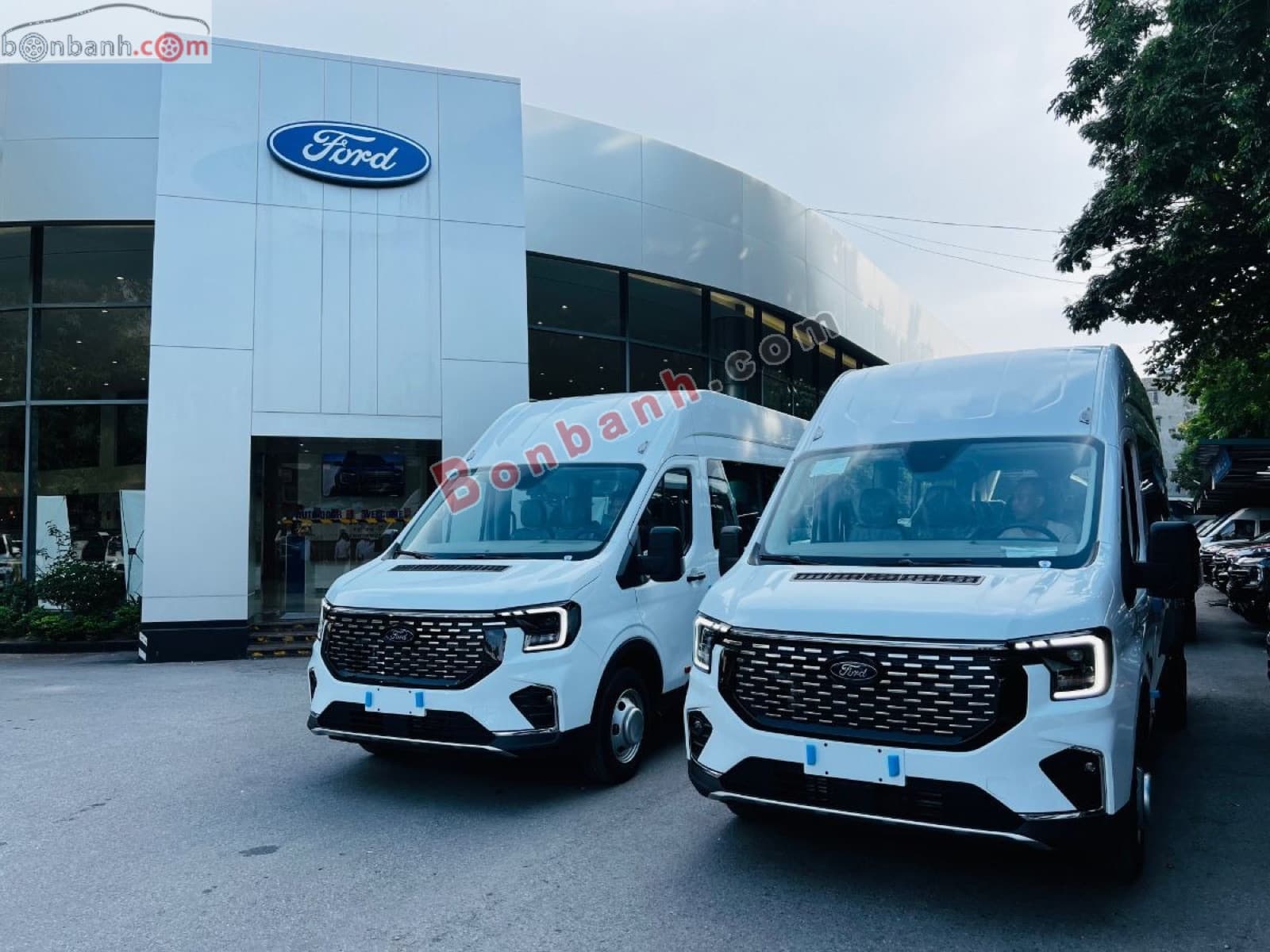 2026 Ford Transit Premium+ - ảnh nhỏ 6