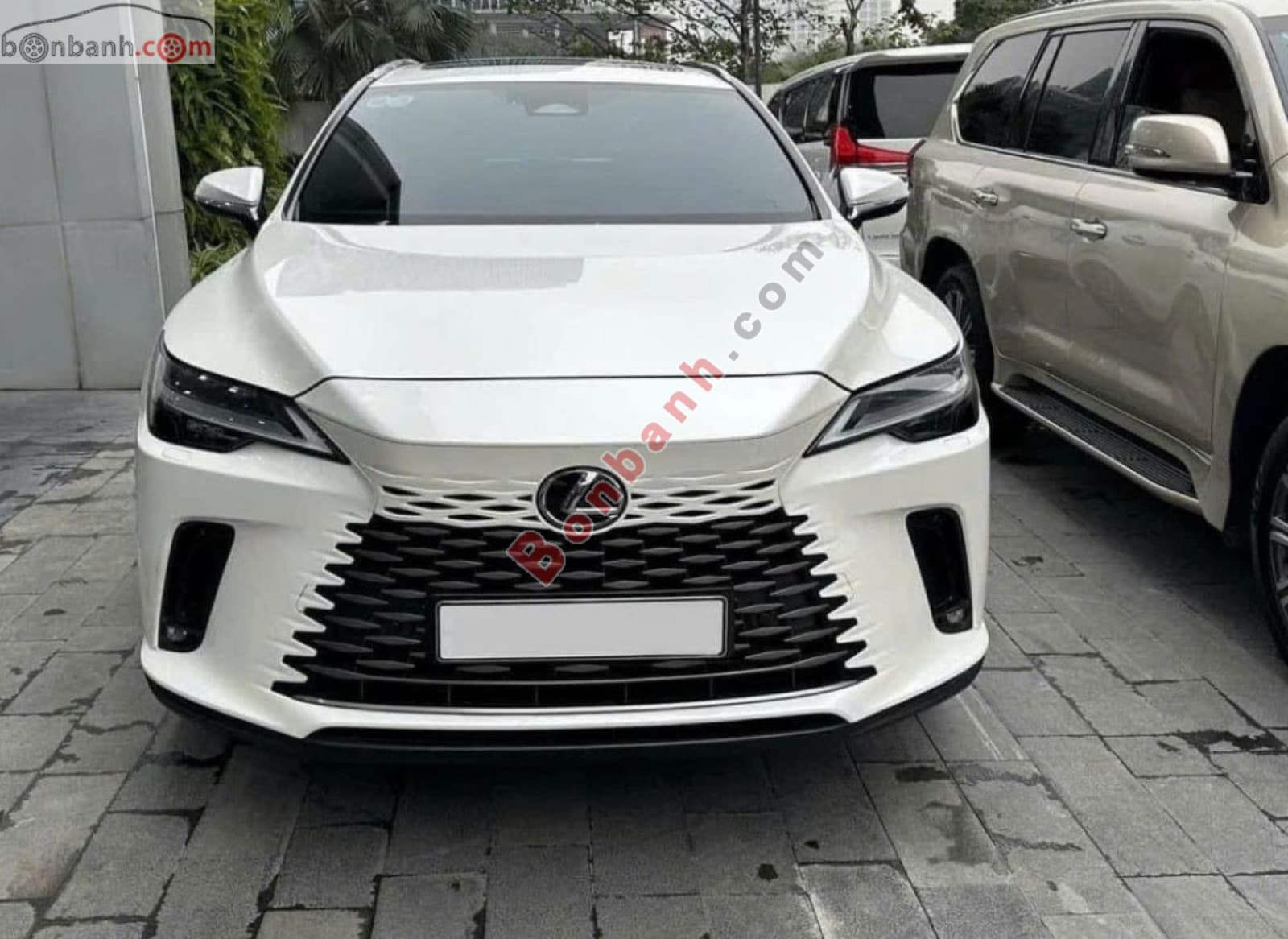 2024 Lexus RX 350 Premium