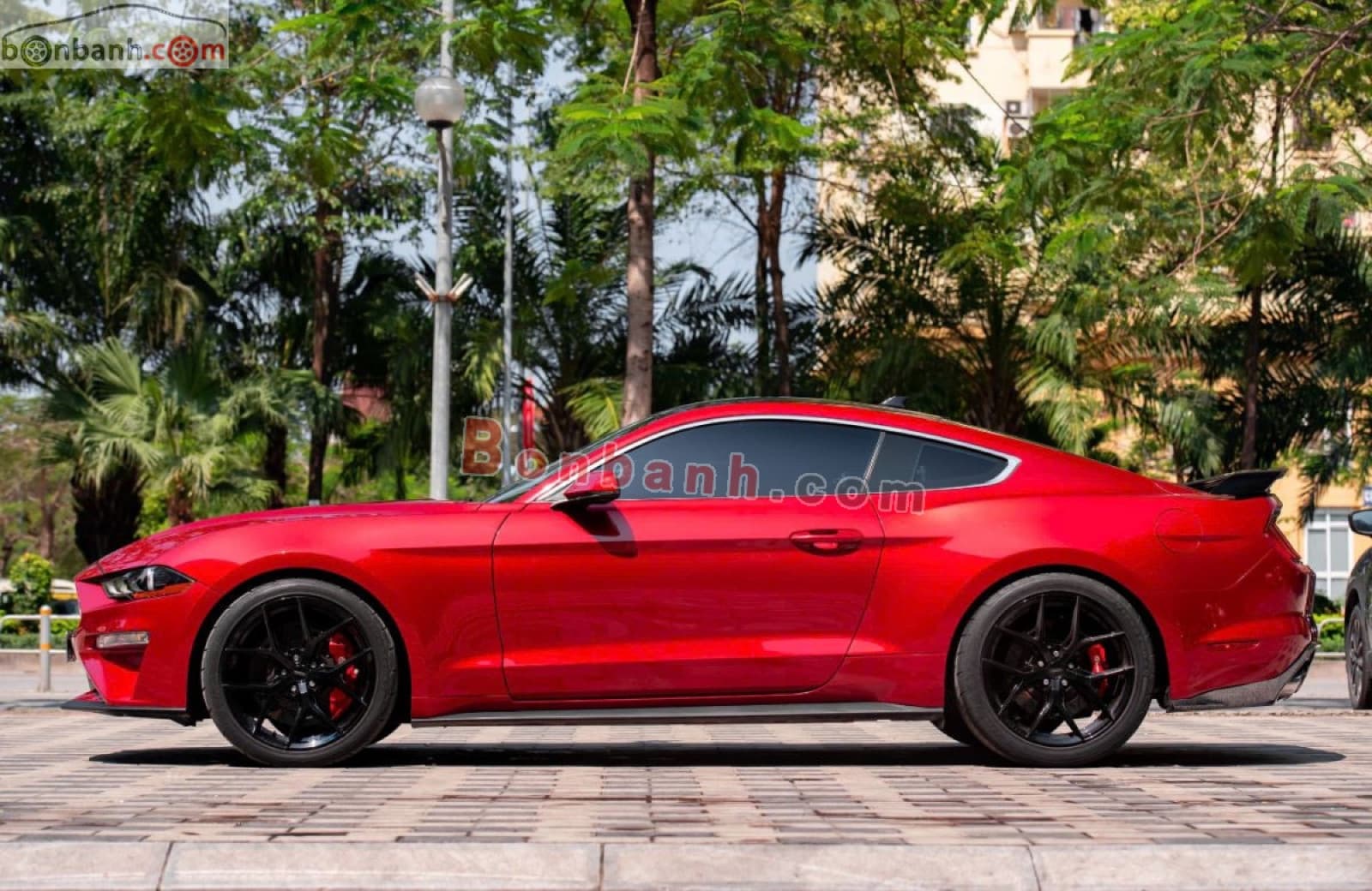 2020 Ford Mustang 2.3 EcoBoost Fastback - ảnh nhỏ 3