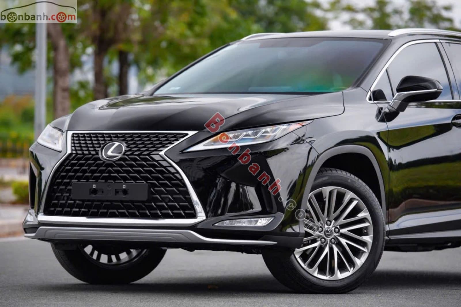 2019 Lexus RX 300