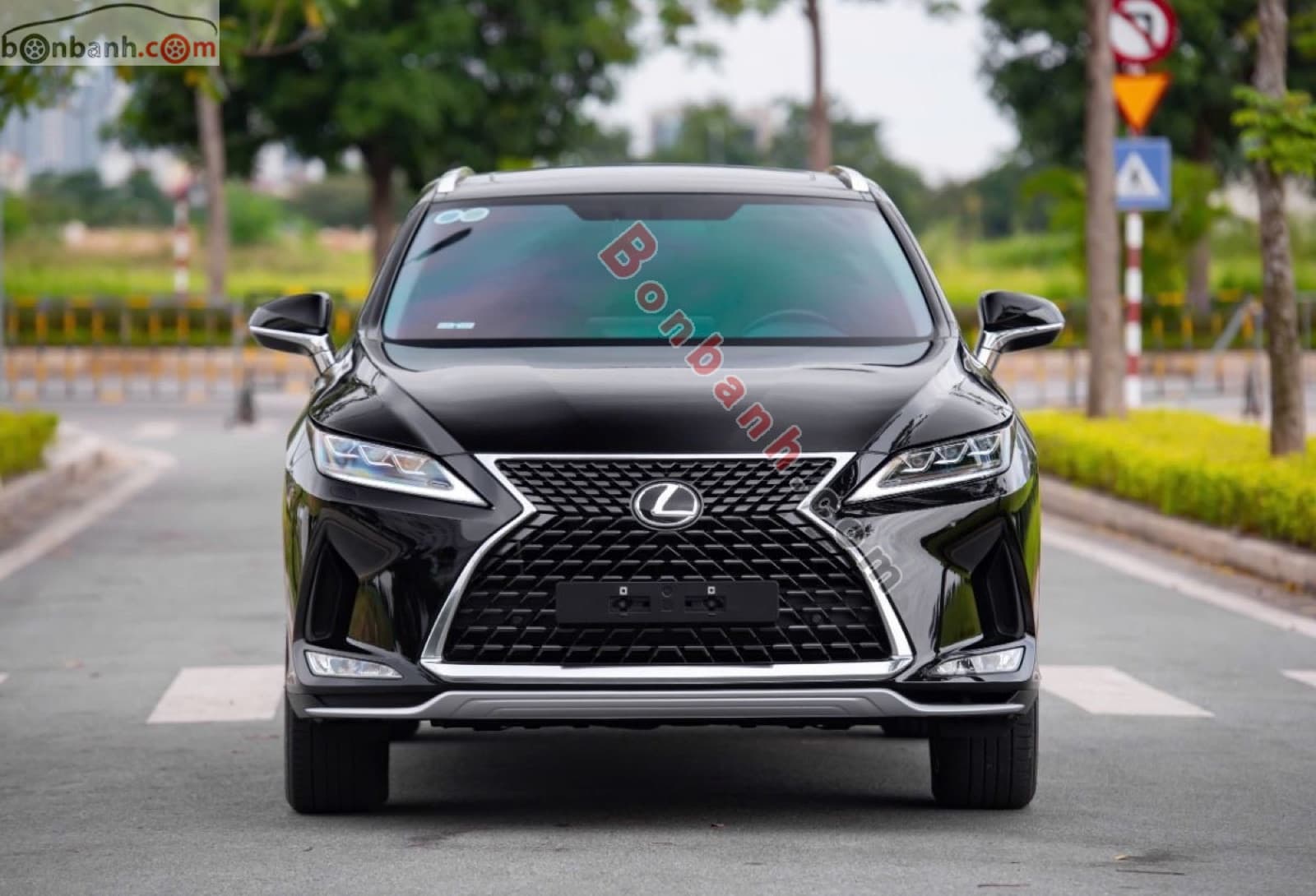 2019 Lexus RX 300