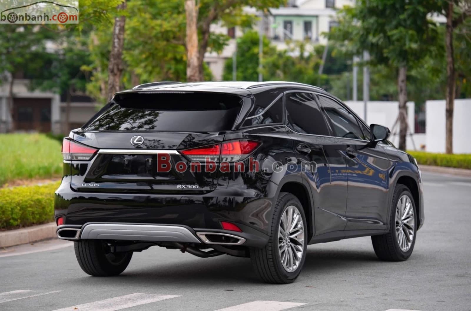 2019 Lexus RX 300 - ảnh nhỏ 5