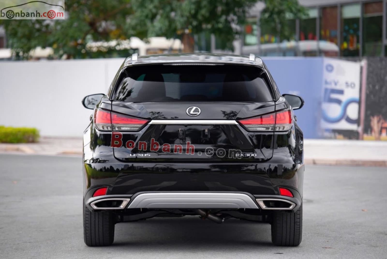 2019 Lexus RX 300 - ảnh nhỏ 6