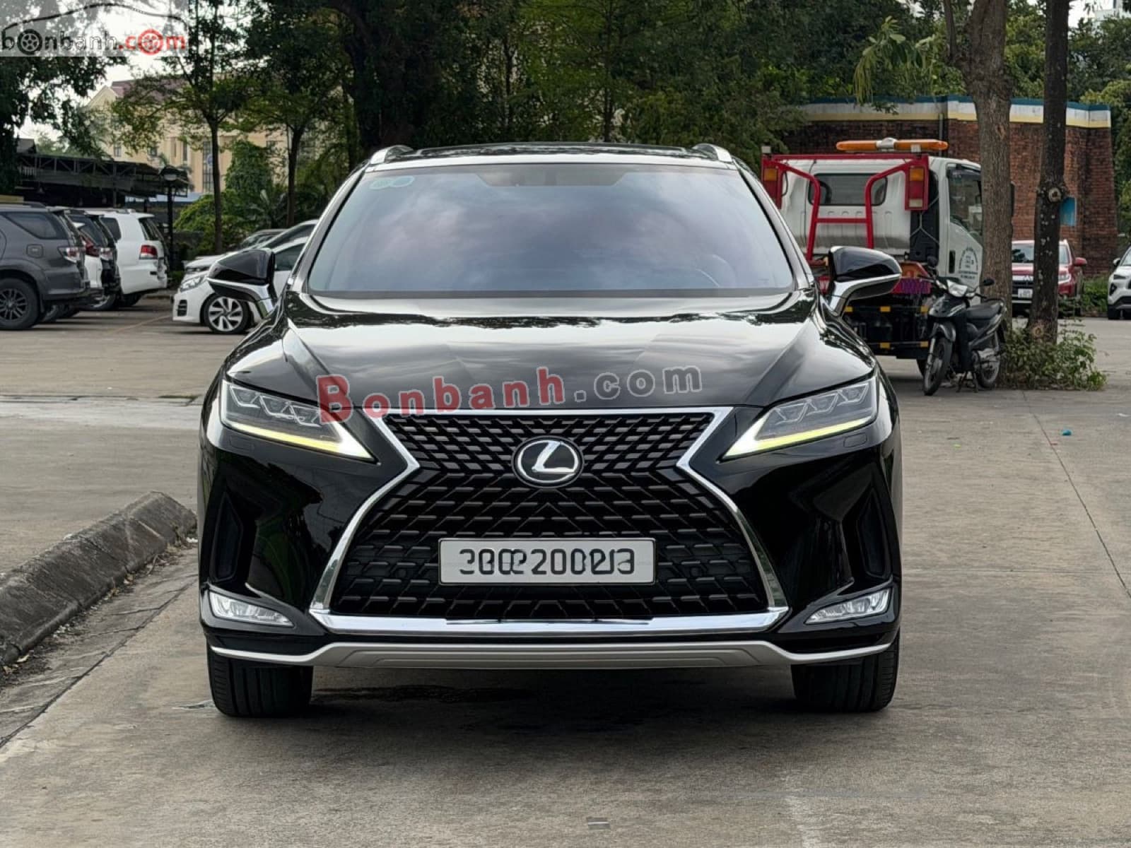 2019 Lexus RX 300