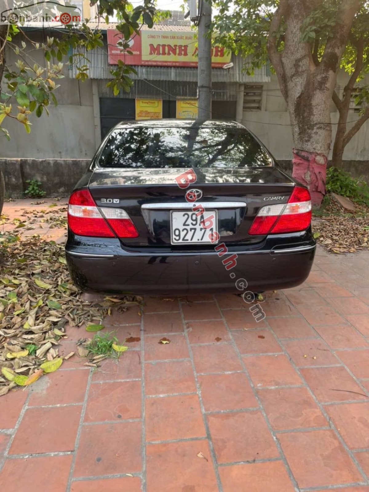 2003 Toyota Camry 3.0V - ảnh nhỏ 3