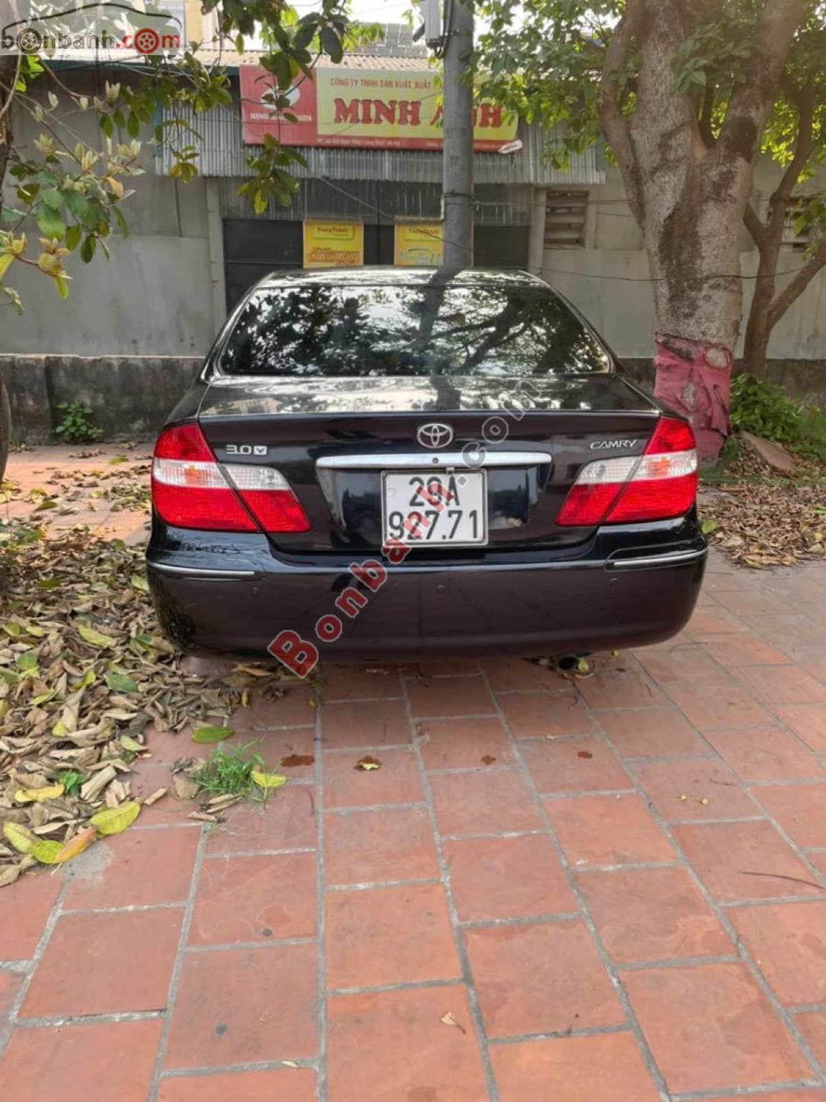 2003 Toyota Camry 3.0V - ảnh nhỏ 5