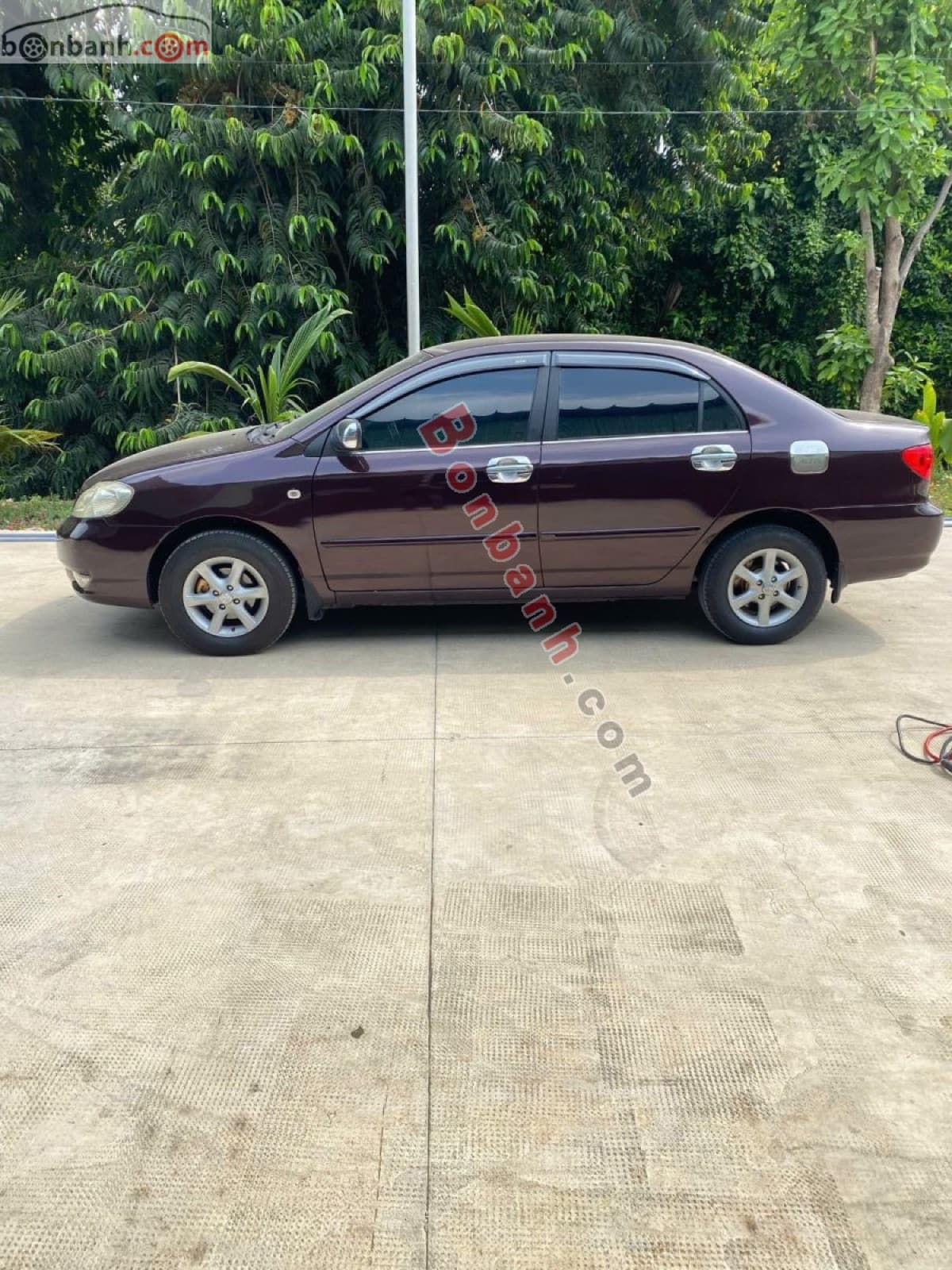 2001 Toyota Corolla altis 1.8G MT - ảnh nhỏ 2
