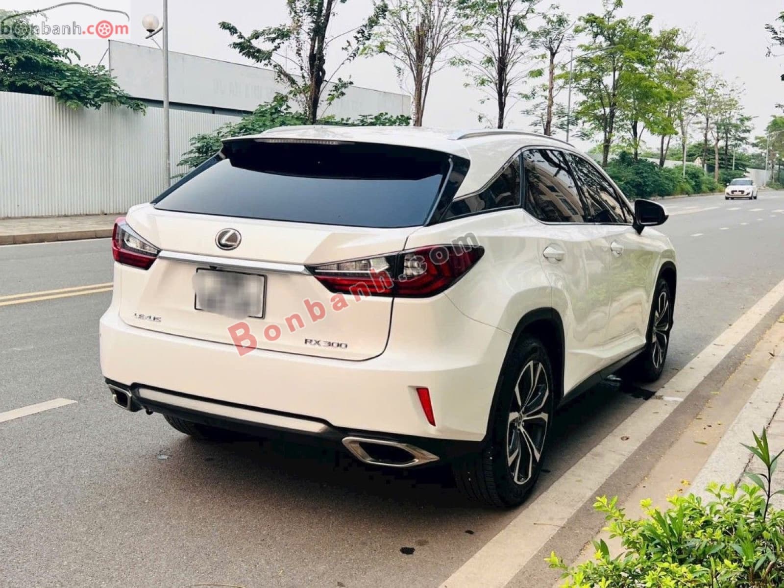 2019 Lexus RX 300 - ảnh nhỏ 2